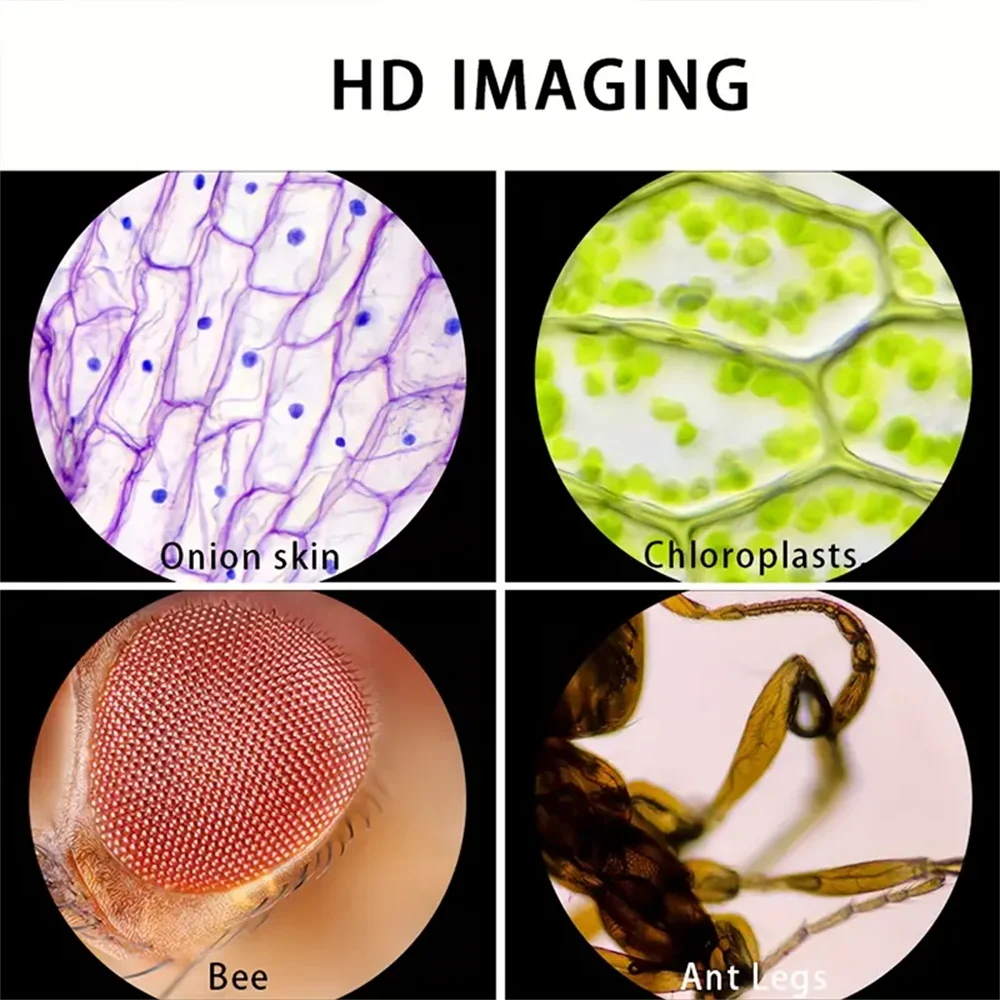 Handheld Microscope 60-120x with LED Light